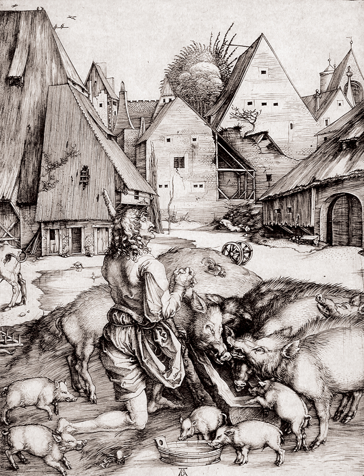   阿尔布雷特·丢勒Albrecht Dürer——素描与版画 (135)